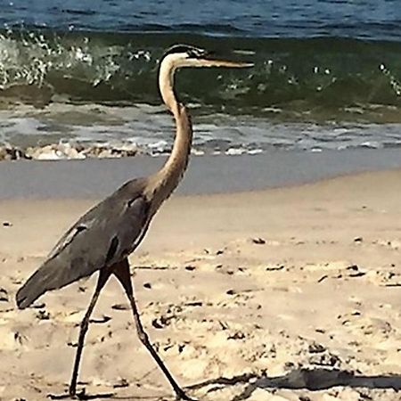 Phoenix Gulf Shores 1203 By Bender Vacation Rentals Ngoại thất bức ảnh